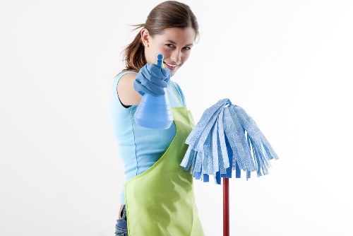 Professional upholstery cleaning in a Richmond living room