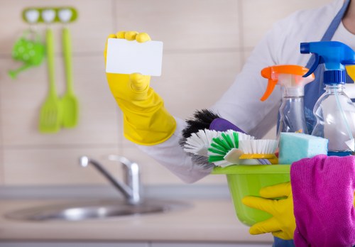 Cleaners Richmond accessibility statement introductory image