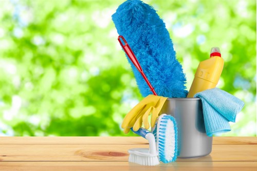 Professional carpet cleaning in Richmond for a fresh home interior