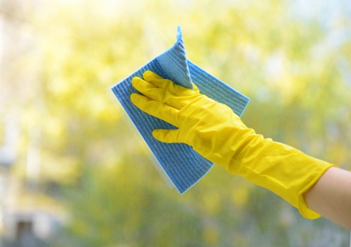 Professional cleaner in Richmond in a modern living room