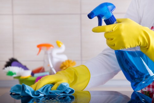 Eco-friendly home cleaning equipment used by Richmond cleaners