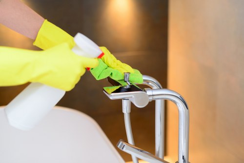 Bathroom sanitising as part of domestic cleaning in Richmond
