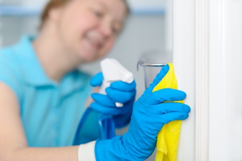 Professional Richmond cleaning team following safety and PPE procedures