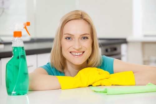 Professional cleaners beginning work in a Richmond property