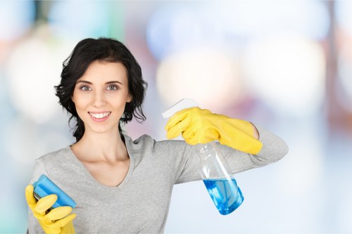 Local Richmond cleaning service focusing on bathroom deep cleaning
