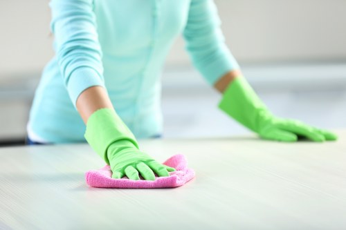 Local Richmond cleaners demonstrating professional care and quality