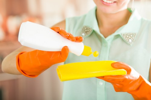 A cleaner organizing equipment and maintaining safe housekeeping