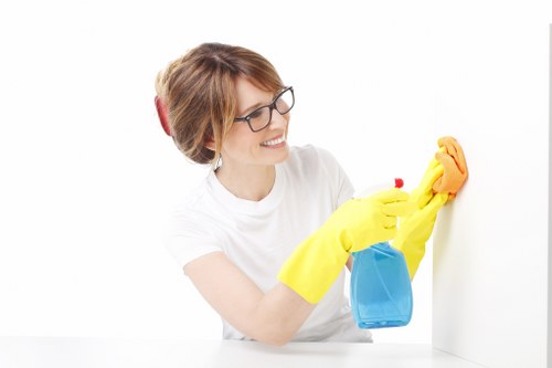 Richmond cleaner performing domestic kitchen cleaning