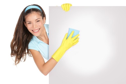 Kitchen appliance detailing during oven cleaning in Richmond