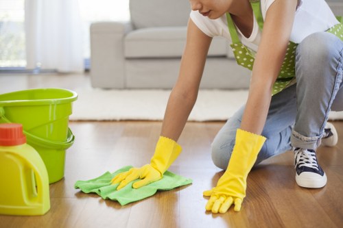 Professional deep cleaning in Richmond for improved hygiene