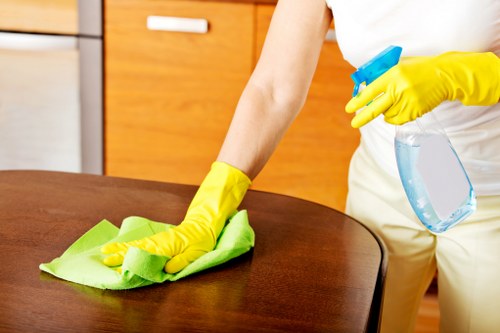 House cleaning in Richmond for different home types